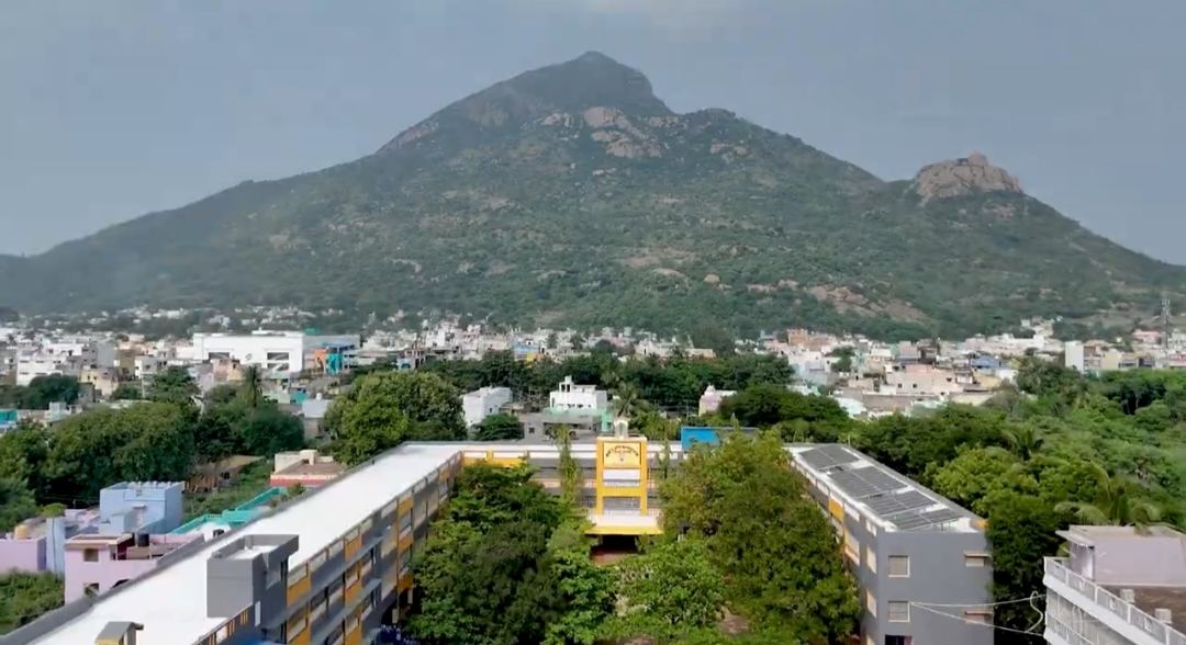 Aerial view of the school campus